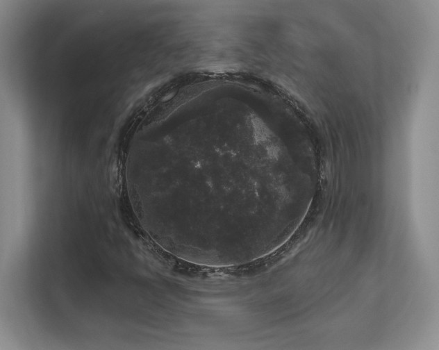 X0000111641398200907171537