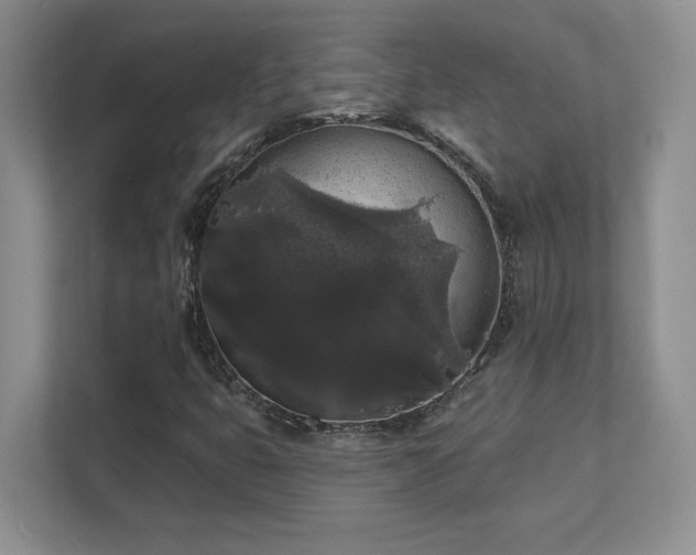X0000111641399200907171537
