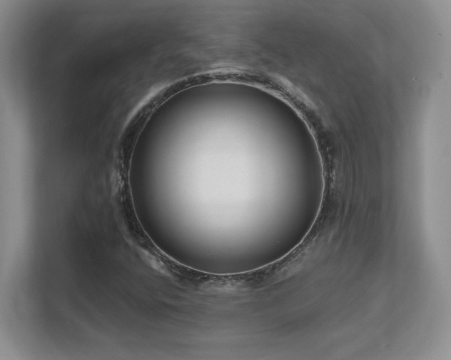 X0000111641400200907171537