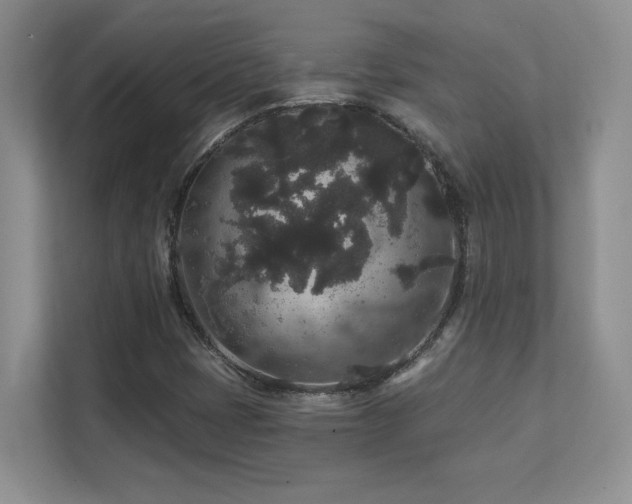 X0000111641401200907171537