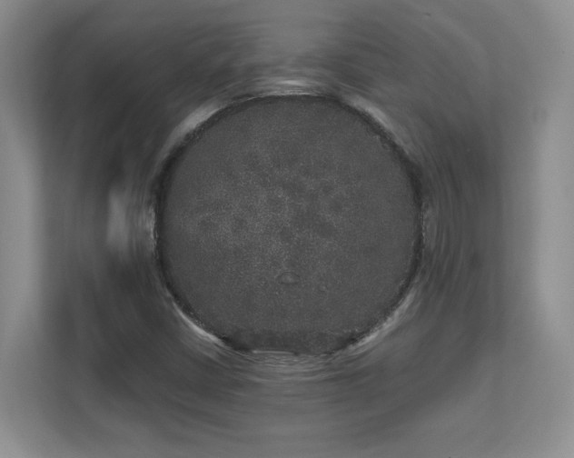 X0000111641402200907171537