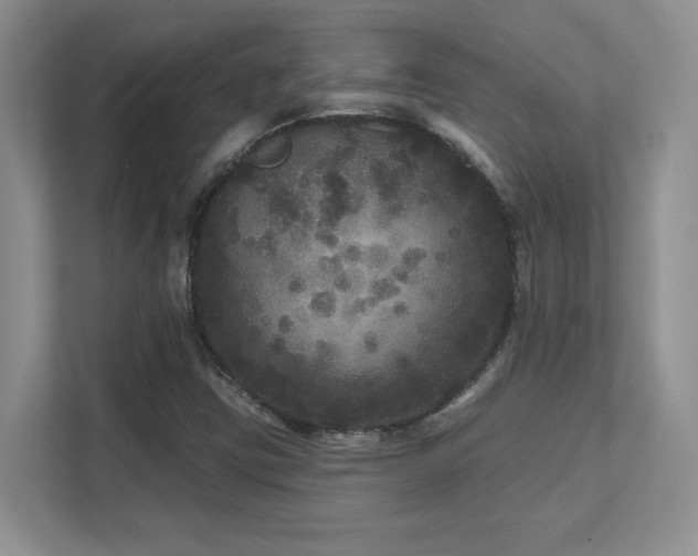 X0000111641403200907171537