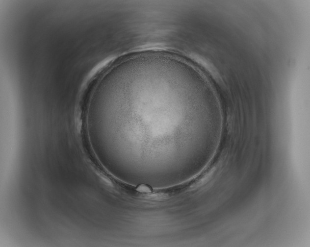 X0000111641406200907171537