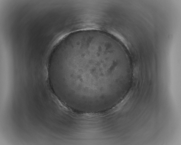 X0000111641407200907171537
