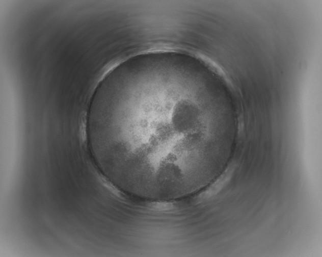 X0000111641409200907171537