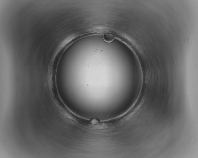 X0000111641410200907171537