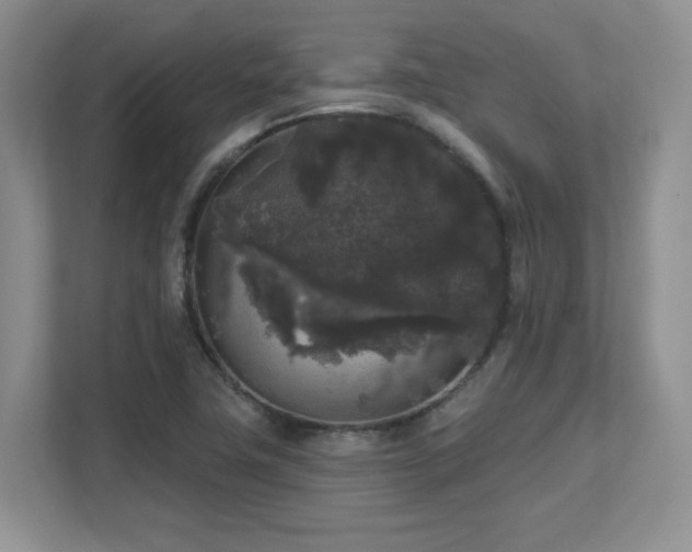 X0000111641411200907171538
