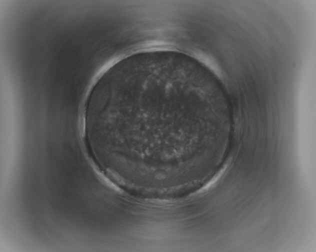 X0000111641413200907171538