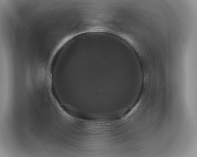 X0000111641414200907171538