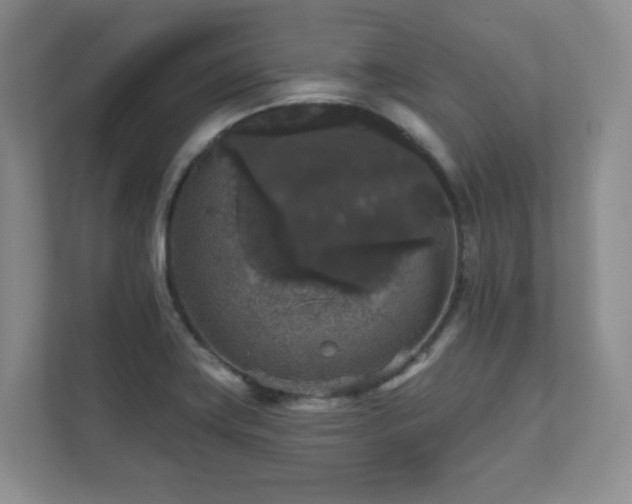 X0000111641419200907171538