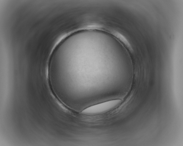 X0000111641420200907171538