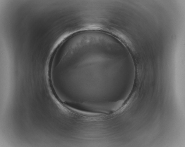 X0000111641422200907171538
