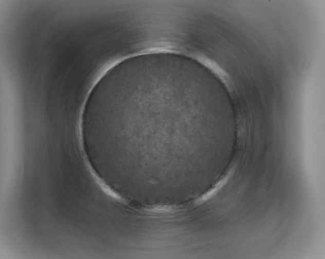 X0000111641423200907171538