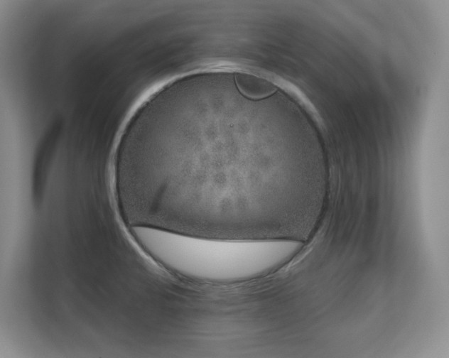 X0000111641424200907171538
