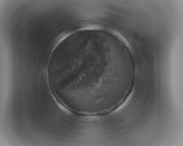 X0000111641425200907171538