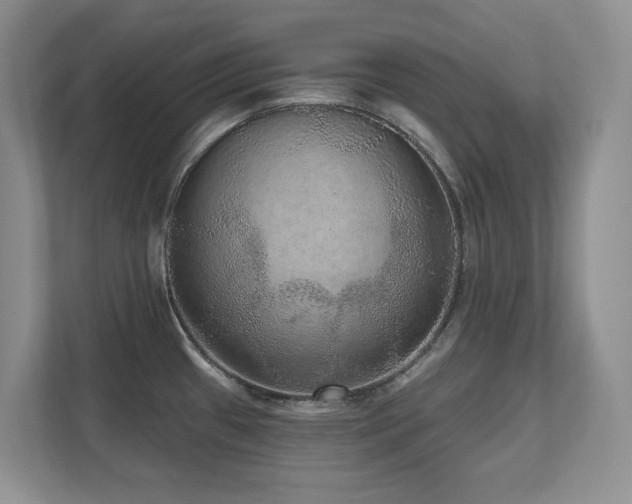 X0000111641433200907171538