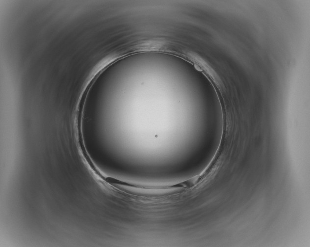 X0000111641434200907171538