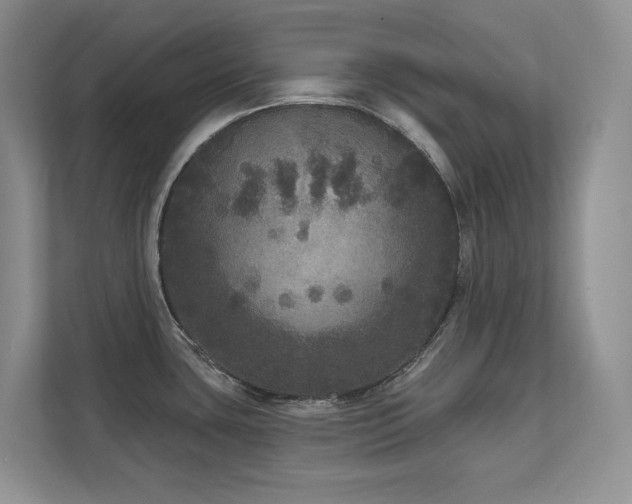 X0000111641435200907171538