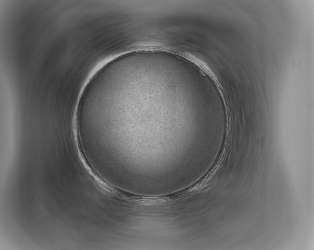 X0000111641440200907171538