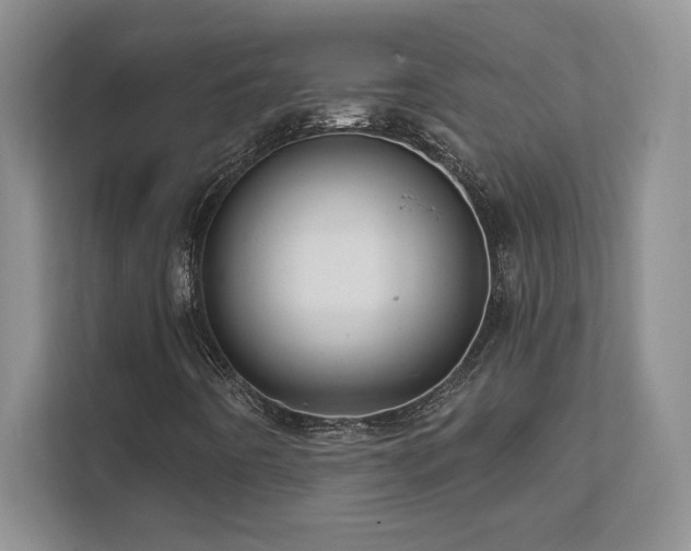 X0000111641442200907171537