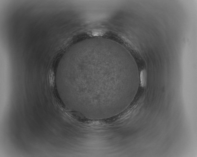 X0000111641443200907171537