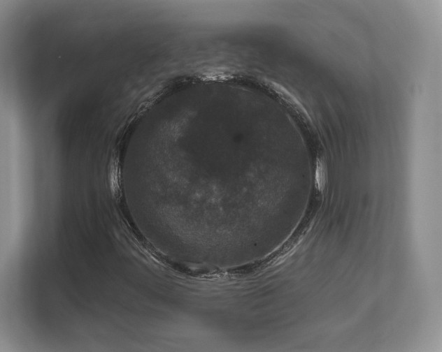 X0000111641444200907171537