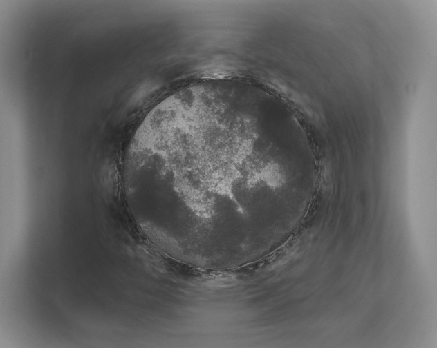 X0000111641446200907171537