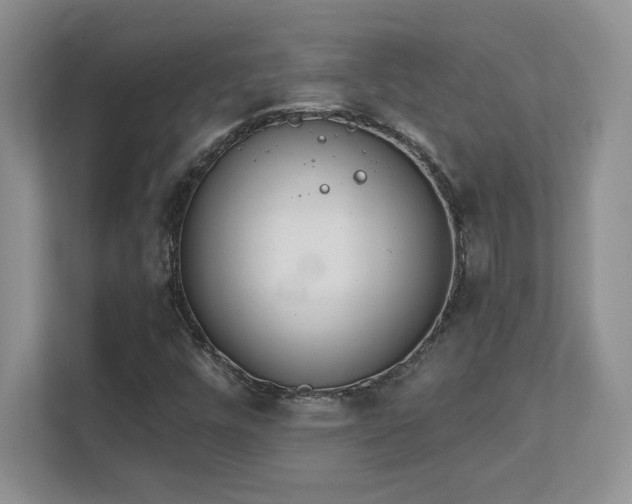 X0000111641448200907171537