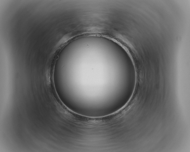 X0000111641451200907171537