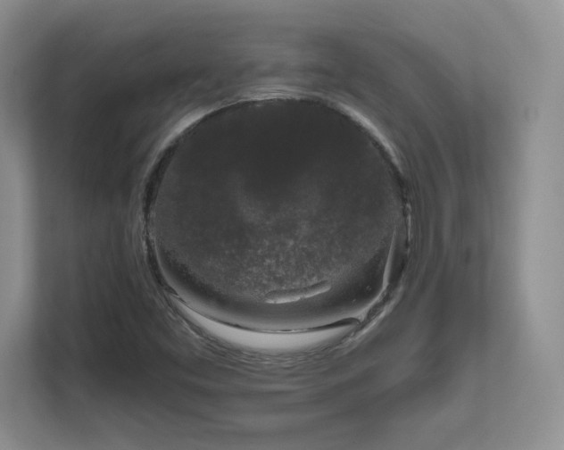 X0000111641453200907171537