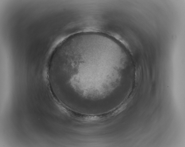X0000111641454200907171537