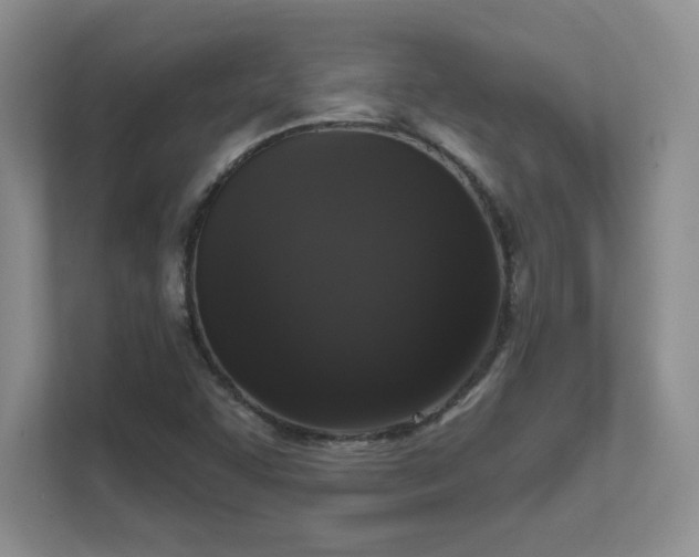 X0000111641455200907171537