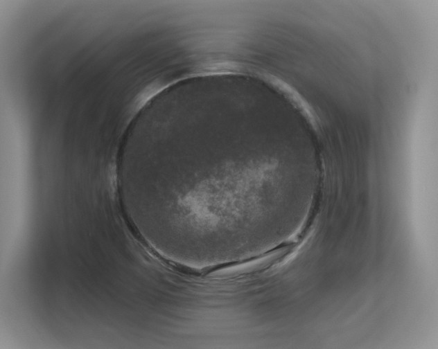 X0000111641457200907171537