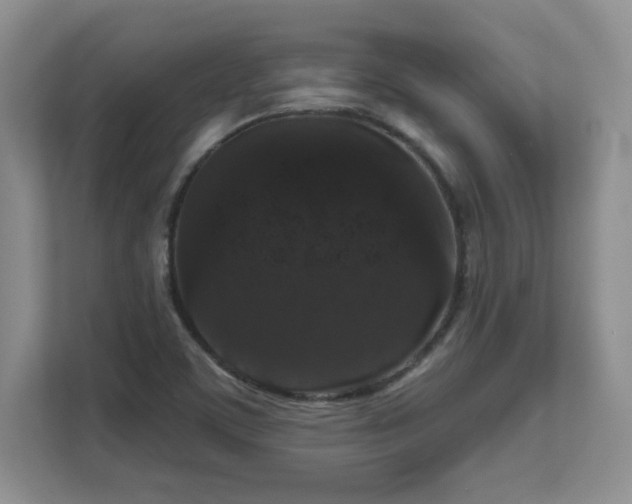 X0000111641459200907171537