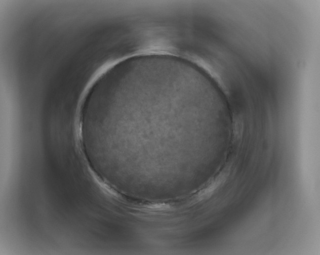X0000111641462200907171537