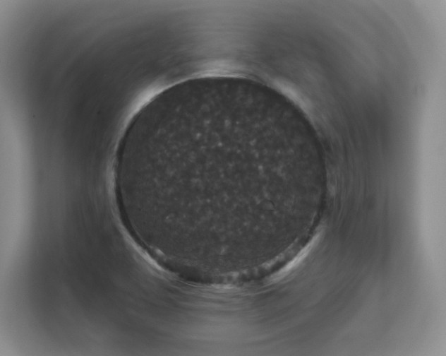 X0000111641463200907171537