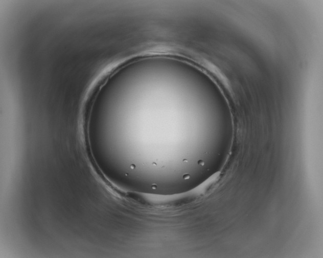 X0000111641464200907171537