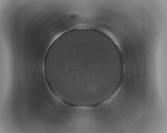 X0000111641465200907171537