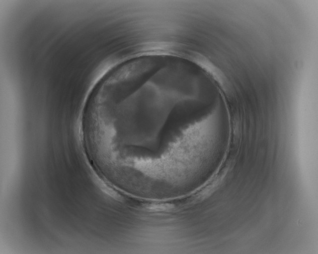 X0000111641466200907171537