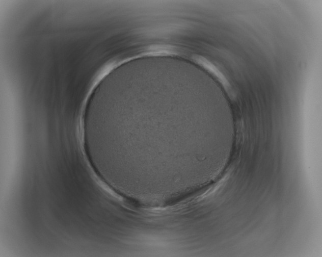 X0000111641467200907171537