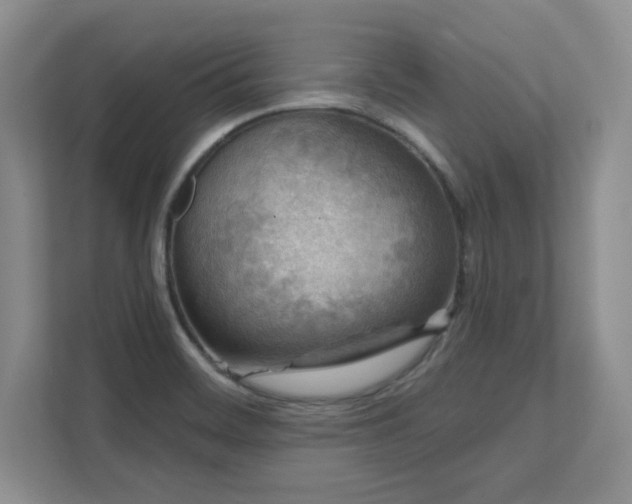 X0000111641468200907171537