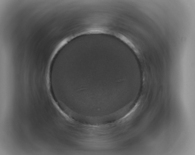 X0000111641469200907171537