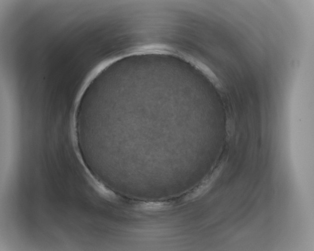 X0000111641470200907171537