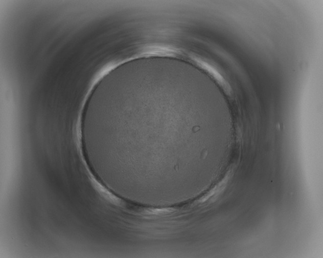 X0000111641471200907171537