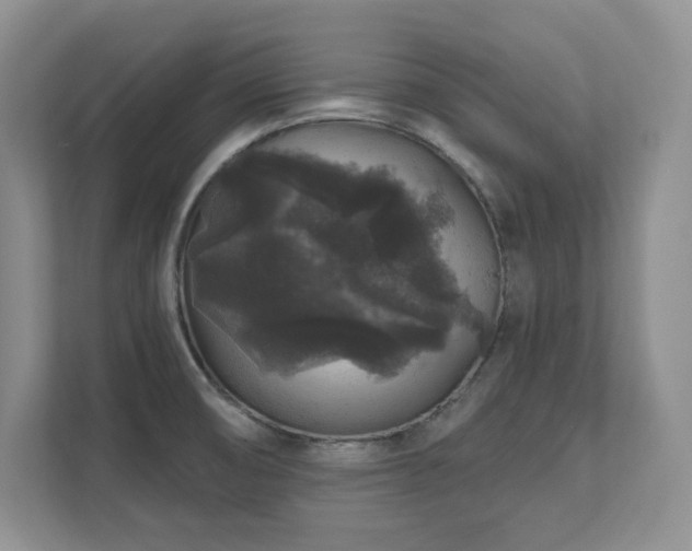 X0000111641474200907171537