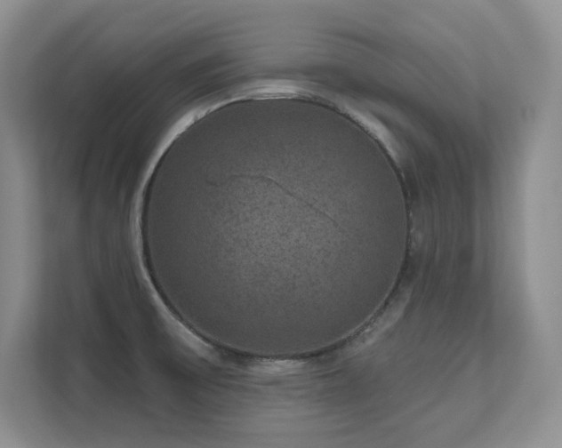 X0000111641475200907171537