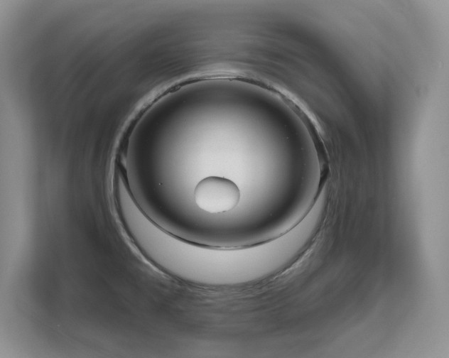 X0000111641477200907171537