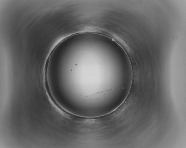 X0000111641479200907171537
