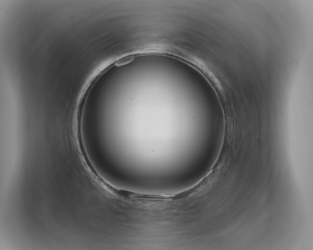 X0000111641480200907171537