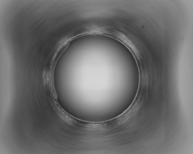 X0000111641481200907171537